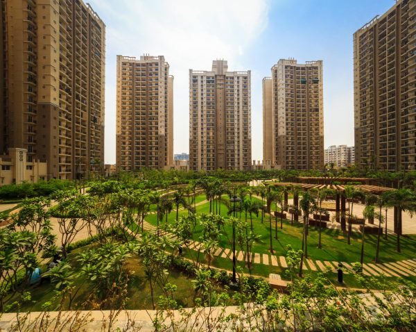 Central green and pergola seating in the society